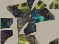 digital_traces_013