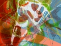 digital_traces_014