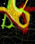 digital_traces_006